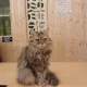 융미