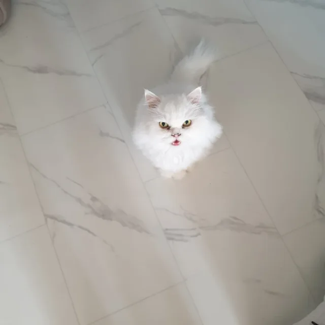 약속
