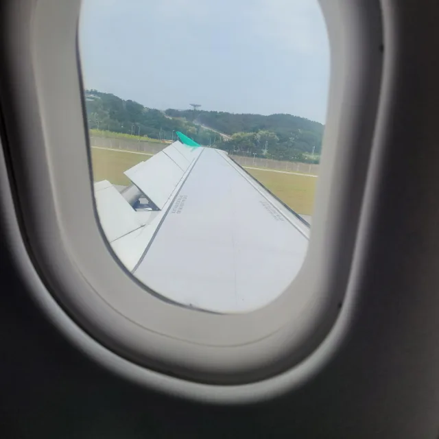 당근이조아