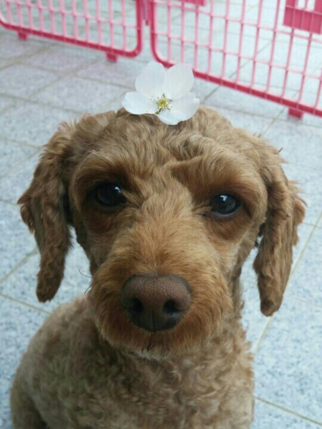 또난감