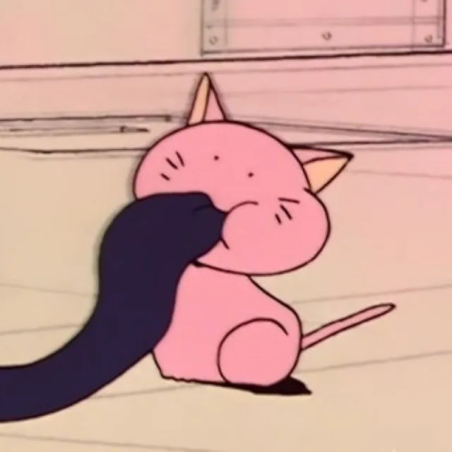 찌마옹