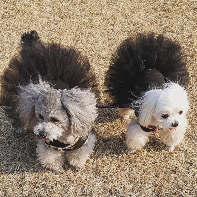 심쿵
