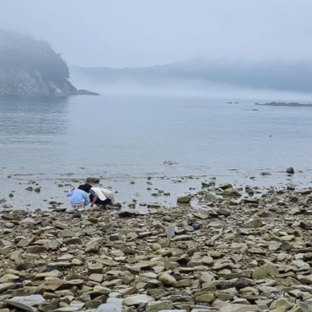 구하라사라