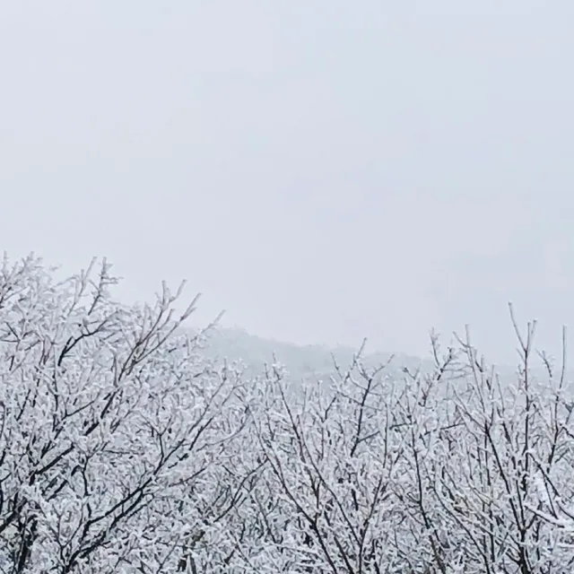 김두영