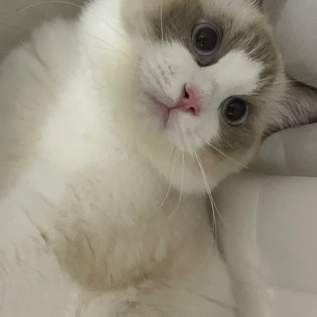 나미