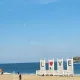 장기덩