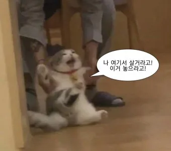 반품환불1문고리거래안함
