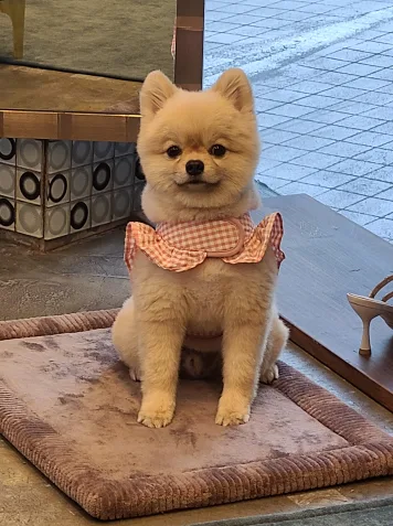 짜장이엄마