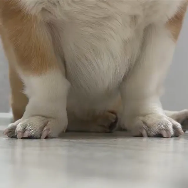 에효효효