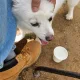 뚜뚜