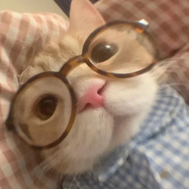 말티헴