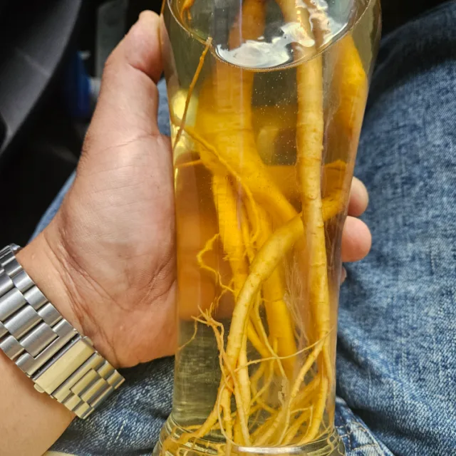양지리인기스타