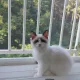 아이사랑