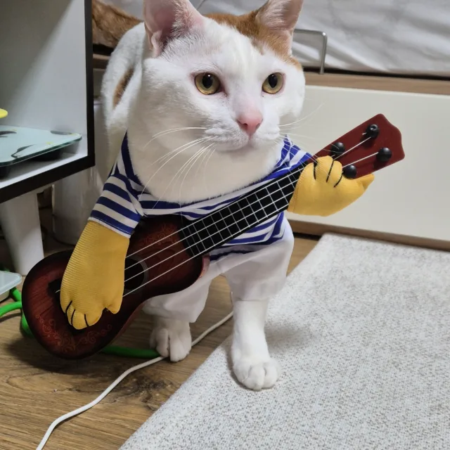 해옹냥이맘