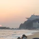 비정