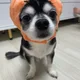 라라