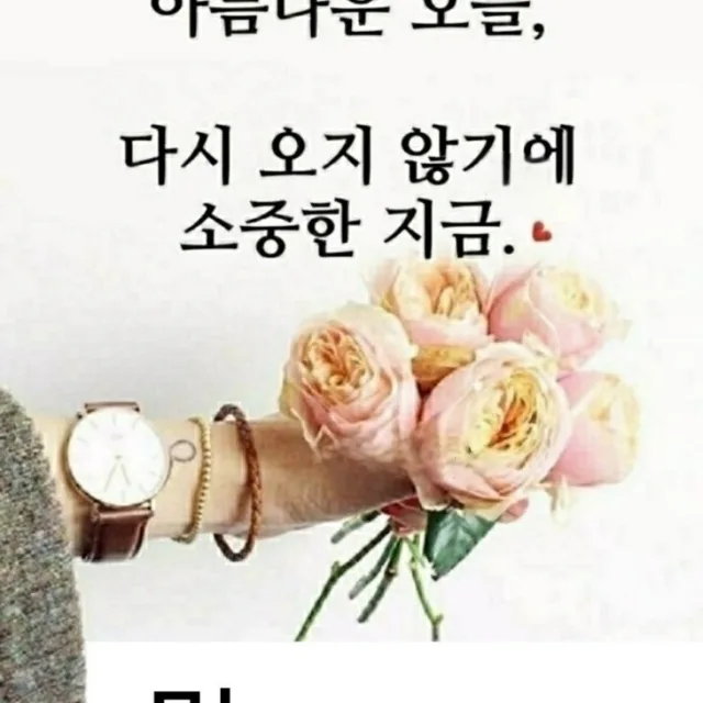 오늘