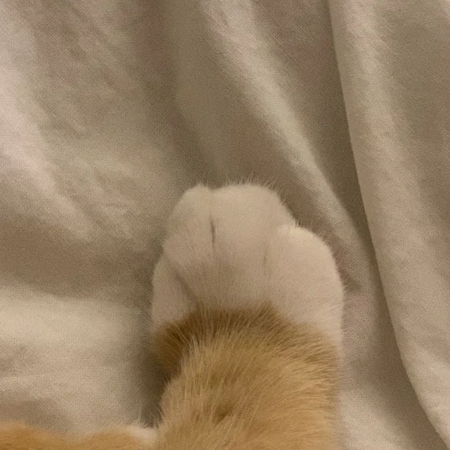 뚜이