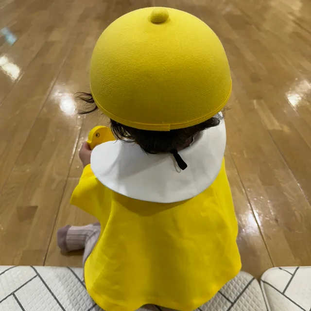 프링글진