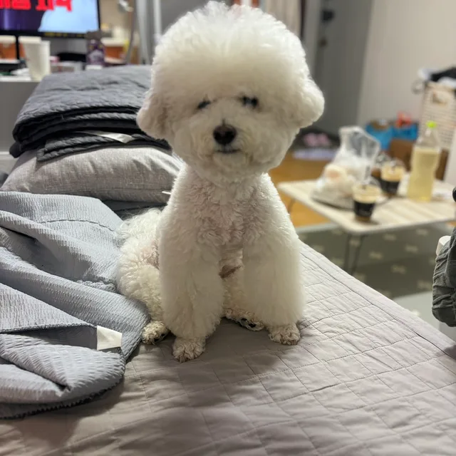 코덕의하루