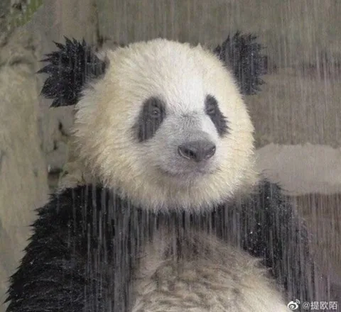 쭐랑껀