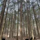 산전수호
