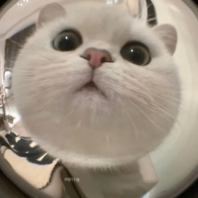 미먐모