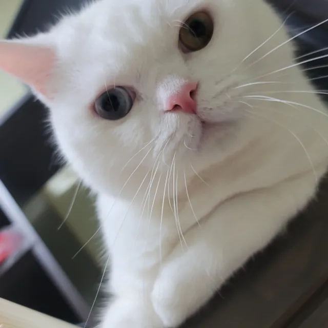 보석찾기
