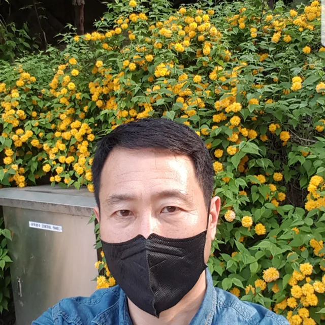 아침햇살