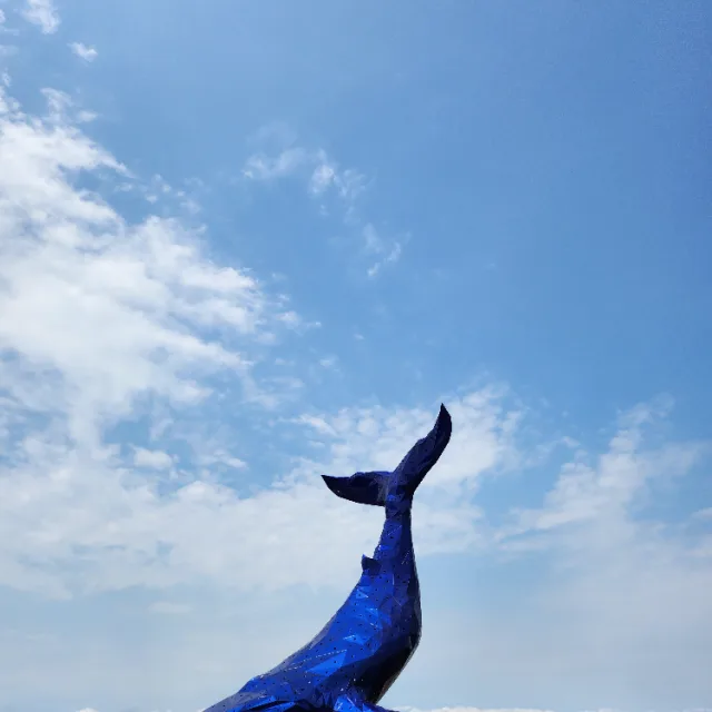 부자고래