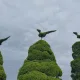 코코