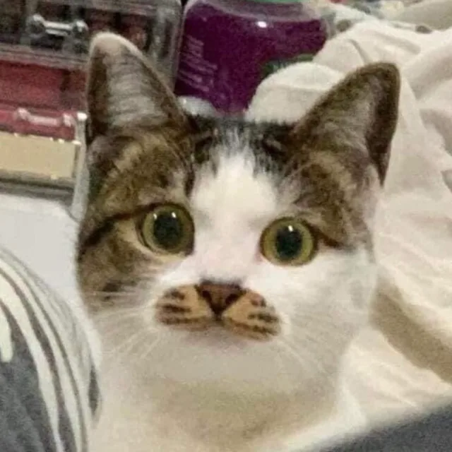 동동