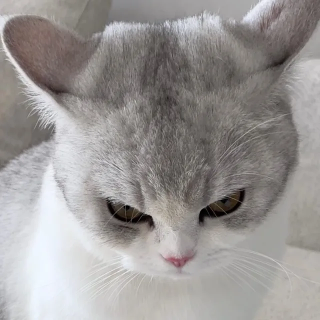 또간자