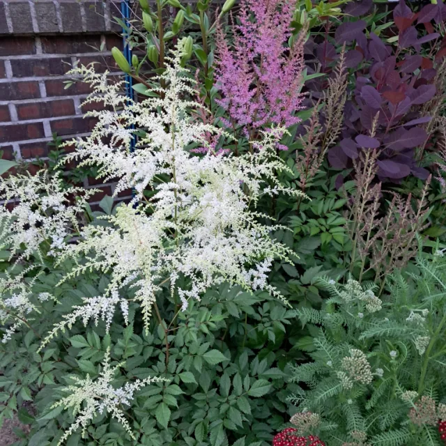 알뜰하게멋내기