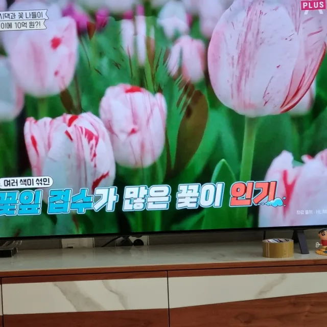 Joy61