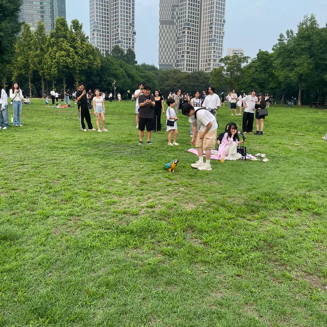 포도
