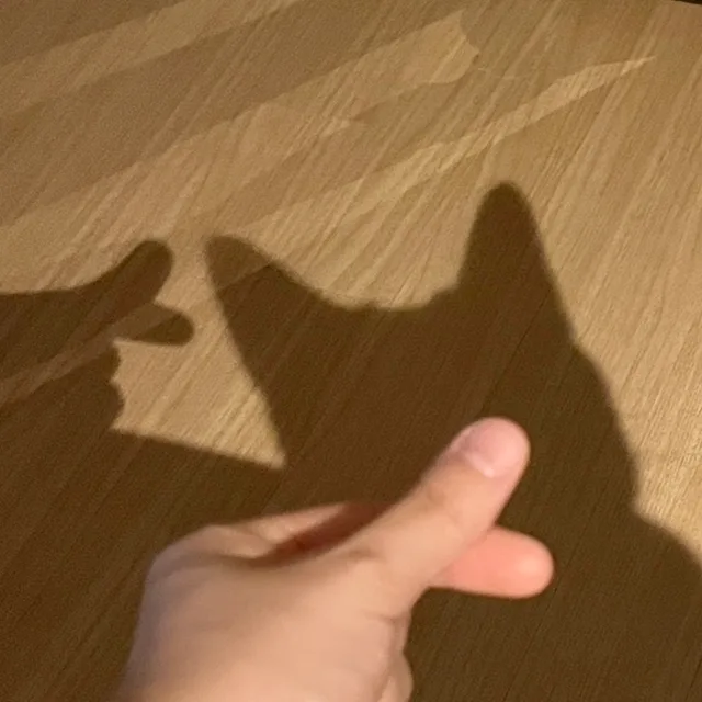 버디