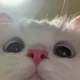 옴뇸뇸뇸뇸