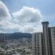 당근이지