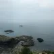 후리지아