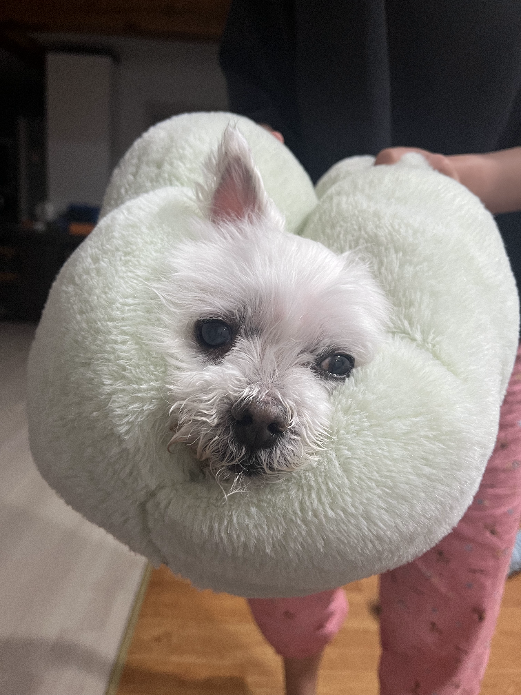 호엥앵