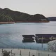 빈티지