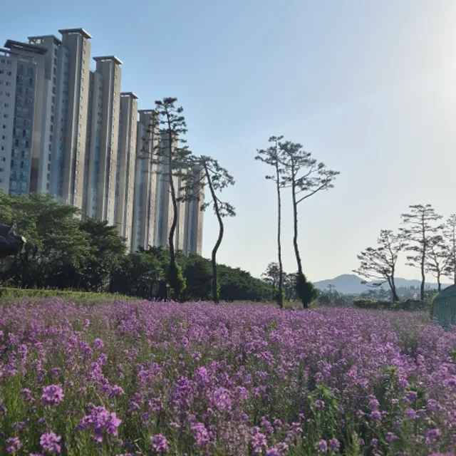 누리