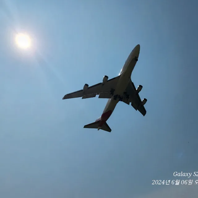 흰솜뭉치