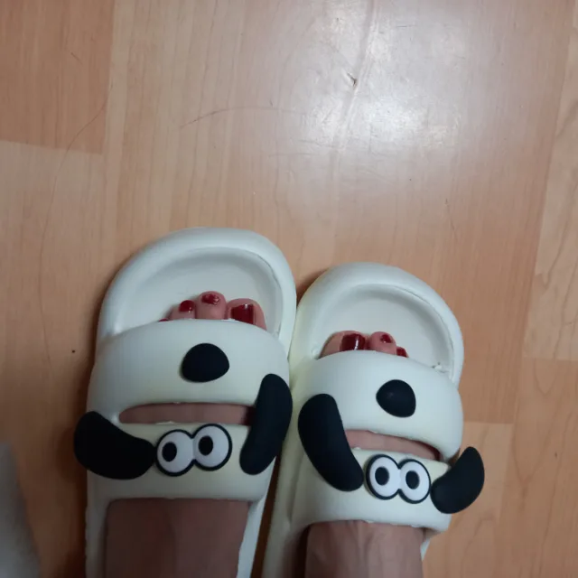 똥돼지