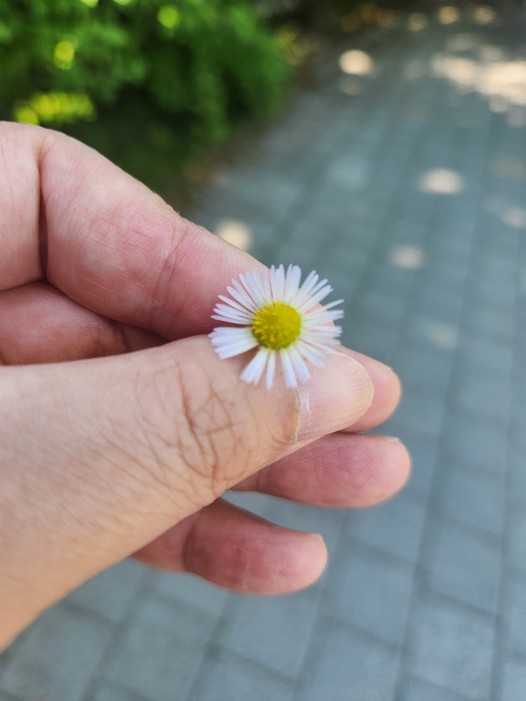slow