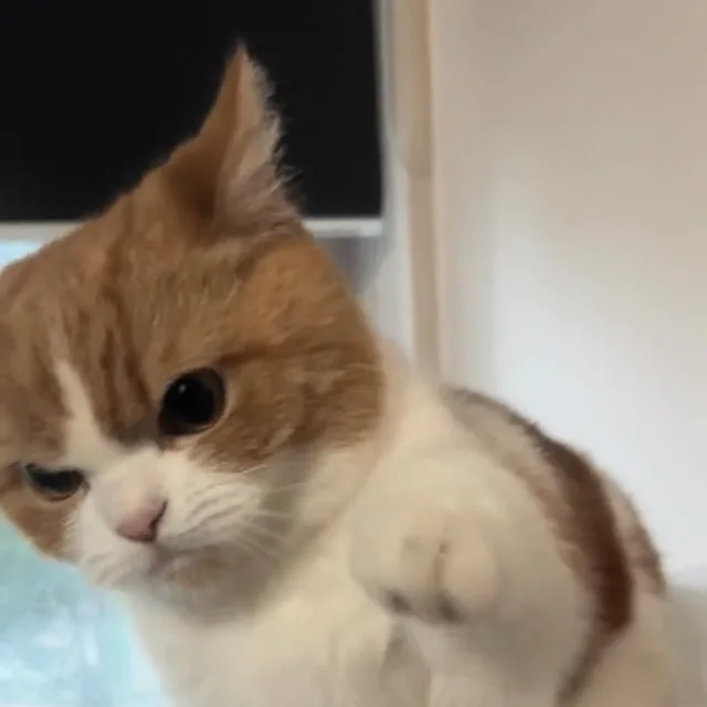 숨겨둔뿌링클