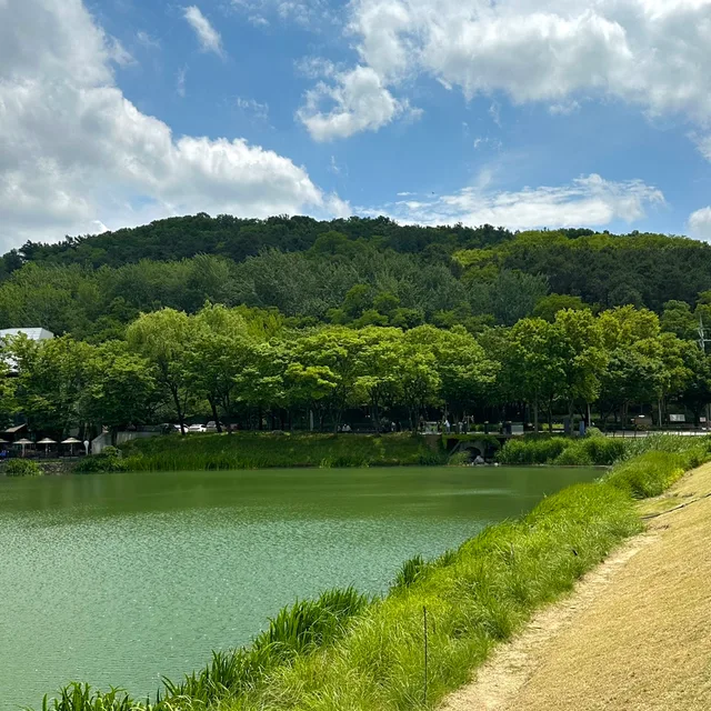 땅근
