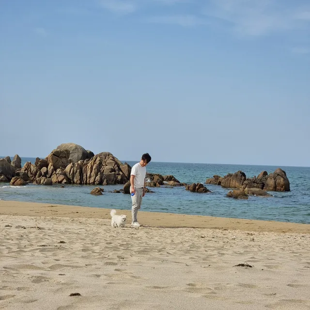 하나둘셋