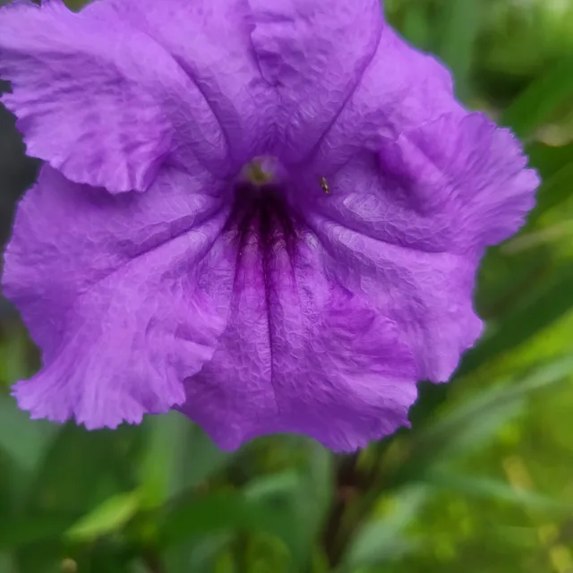 날쎈